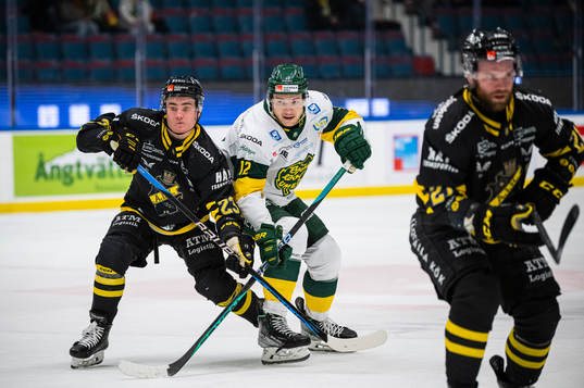 AIKs Christoffer Björk och Björklövens Scott Pooley