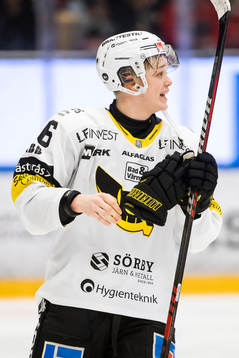 Västerås Liam Dower Nilsson