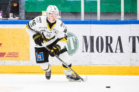 Västerås Liam Dower Nilsson