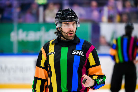 Domare Mikael Sjöqvist