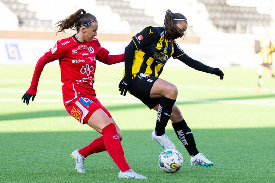 Häckens Rosa Kafaji