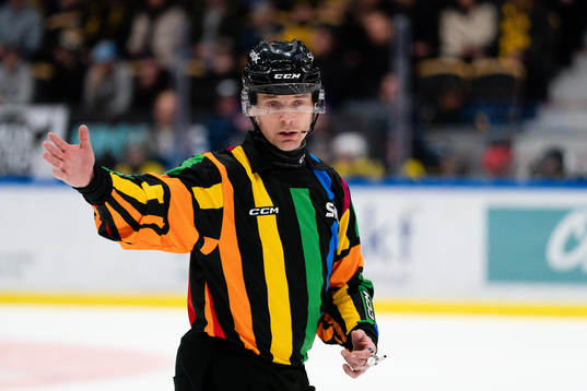 Domare Mikael Andersson