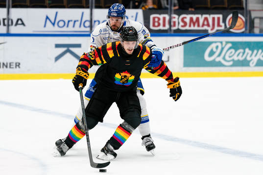 Skellefteås Jonathan Johnsson och Leksands Marek Hrivik