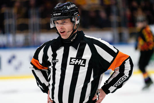 Domare Mikael Andersson