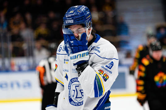 Leksands Lian Bichsel