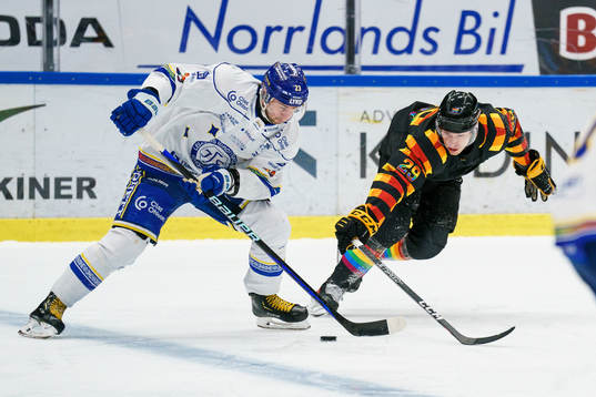 Leksands Mikael Ruohomaa och Skellefteås Albin Sundsvik