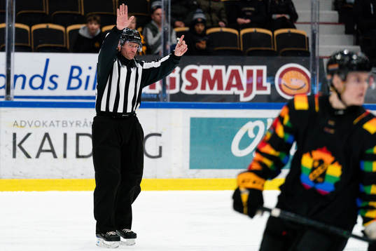 Linjedomare Jan Sandström
