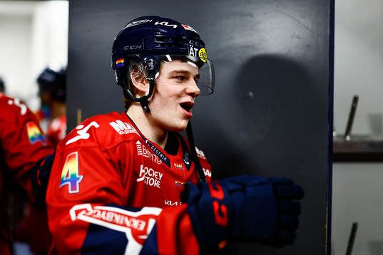Linköpings Mattias Hävelid