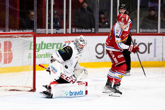 Timrås Sebastian Hartmann och Malmö Redhawks målvakt