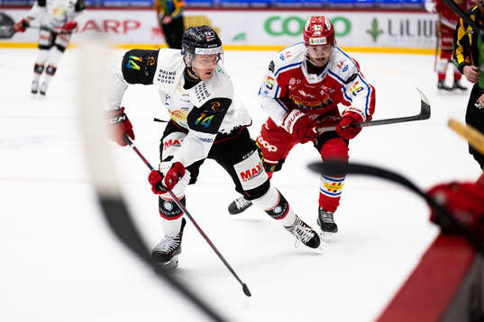 Malmö Redhawks Carl-Johan Lerby