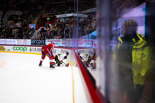 Timrås Anton Lander och Malmö Redhawks Carl-Johan Lerby