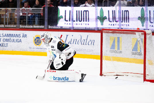Malmö Redhawks målvakt Adam Werner släpper in 2-0