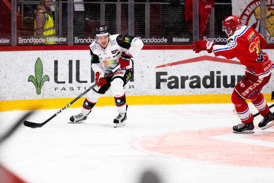 Malmö Redhawks Marcus Sylvegård