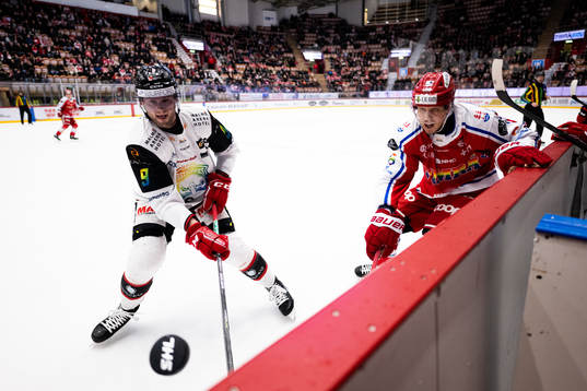 Malmö Redhawks Kim Rosdahl och Timrås Joonas Lyytinen