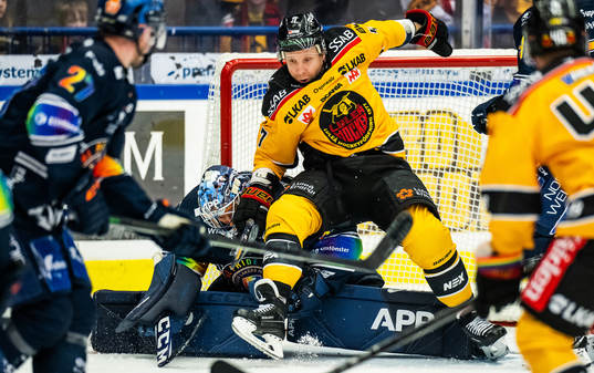 Växjös målvakt Emil Larmi och Luleås Leo Komarov