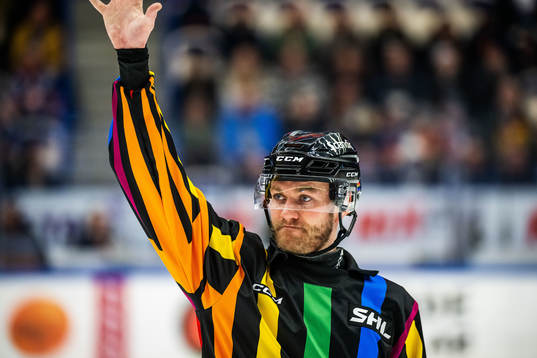 Domare Daniel Eriksson