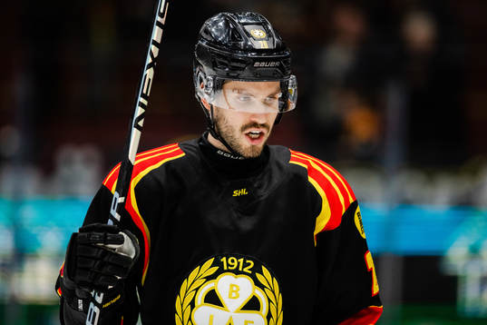 Brynäs Oula Palve