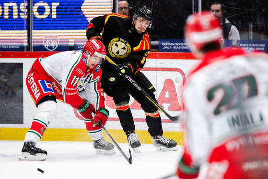 Frölundas Erik Borg och Brynäs Niklas Friman