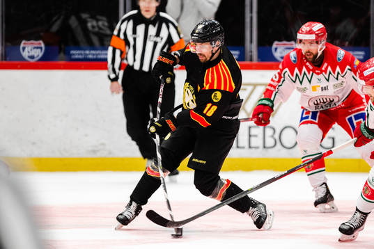 Brynäs Anton Rödin