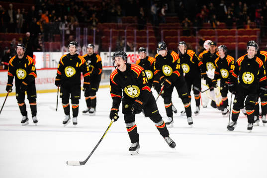 Brynäs Hannes Björninen och lagkamrater jublar