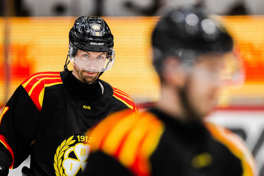 Brynäs Anton Rödin