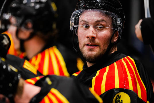 Brynäs Johan Larsson
