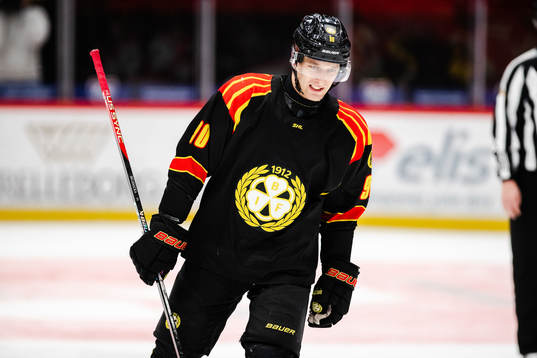 Brynäs David Sklenicka