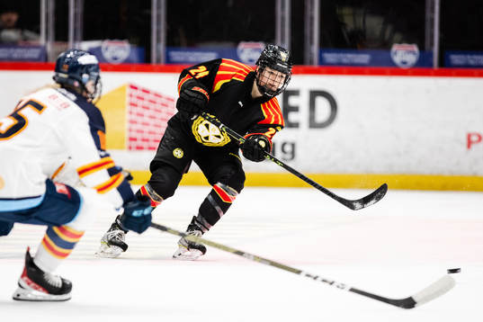 Brynäs Sara Cajanova