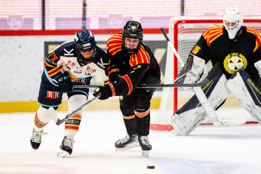 Djurgårdens Nicola Eisenschmid och Brynäs Lindsay Paige