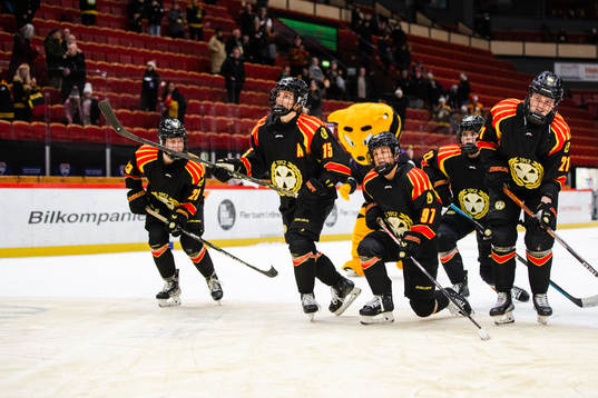 Brynäs spelare jublar