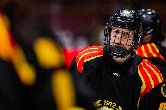 Brynäs Anna Meixner