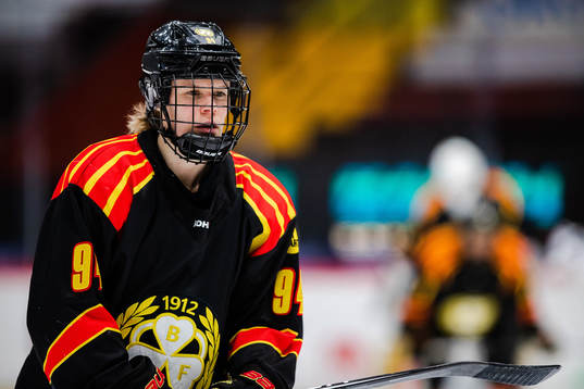 Brynäs Anna Meixner
