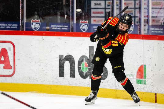Brynäs Moa Wernblom