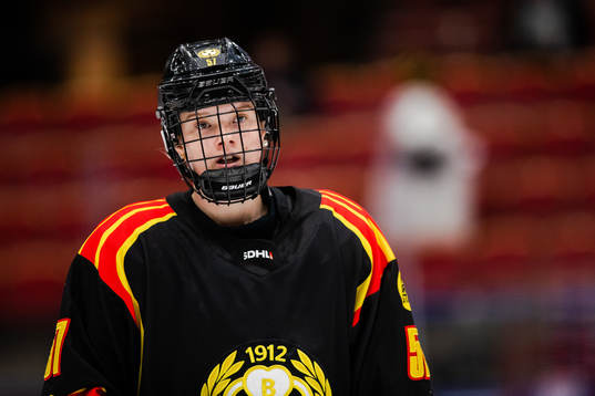 Brynäs Maja Ålenius