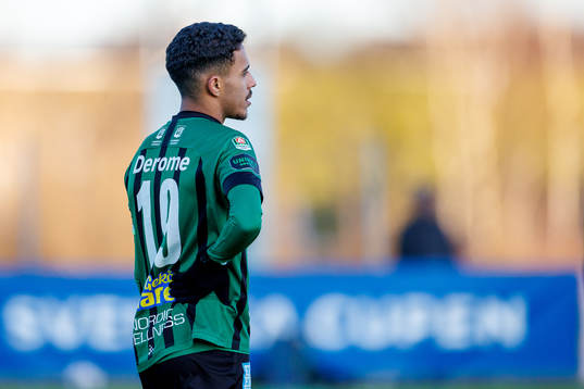 Varbergs Eliton Pardinho Toreta Junior deppar