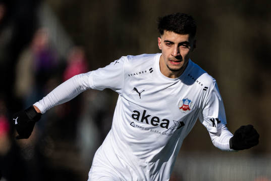 Helsingborgs Amar Muhsin