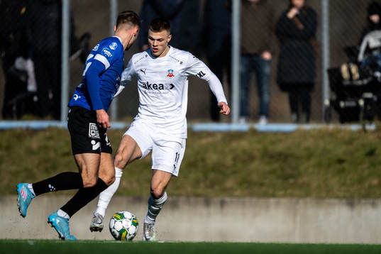 Helsingborgs Erik Ring