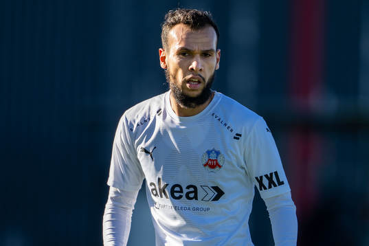 Helsingborgs Sumar Almadjed