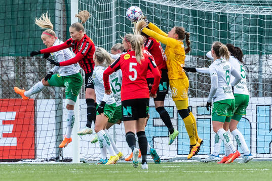 Hammarbys Målvakt Anna Tamminen