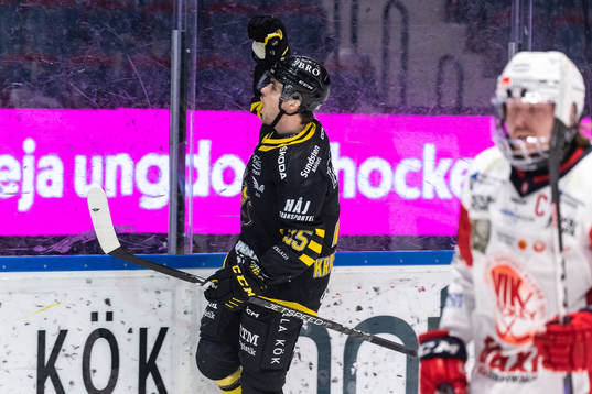 AIKs Renars Krastenbergs jublar