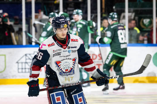 Linköpings Craig Schira deppar