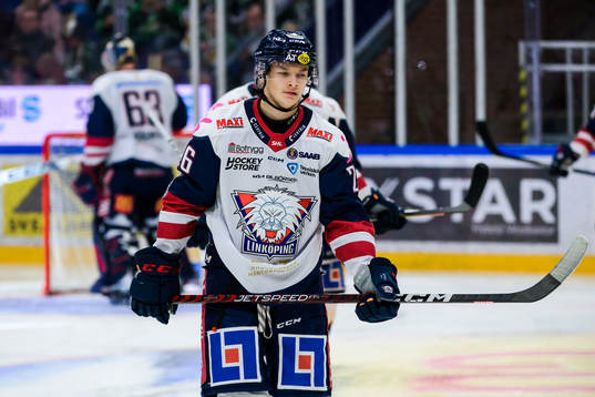 Linköpings Fabian Wagner deppar