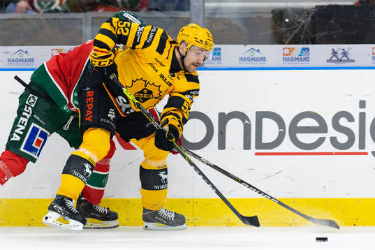 Skellefteås Arvid Lundberg