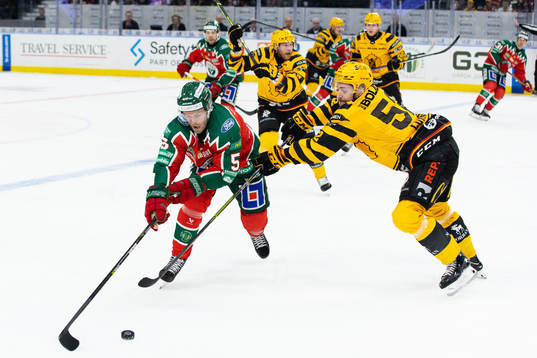 Frölundas Filip Johansson och Skellefteås Arvid Lundberg