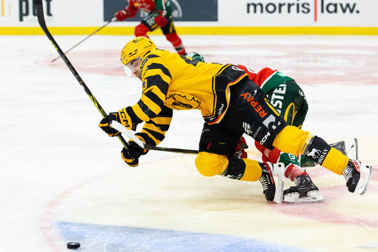 Skellefteås Andreas Wingerli faller