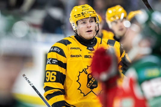 Skellefteås Rickard Hugg jublar