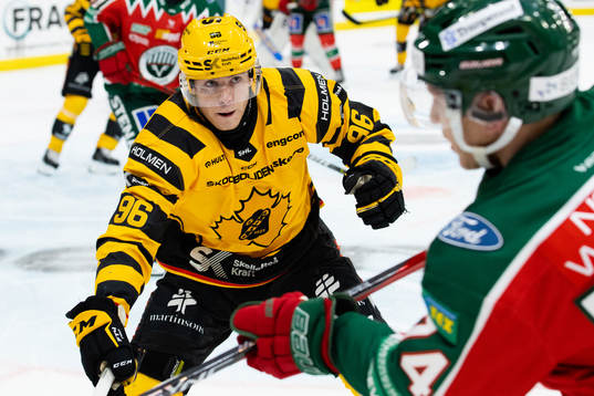 Skellefteås Rickard Hugg