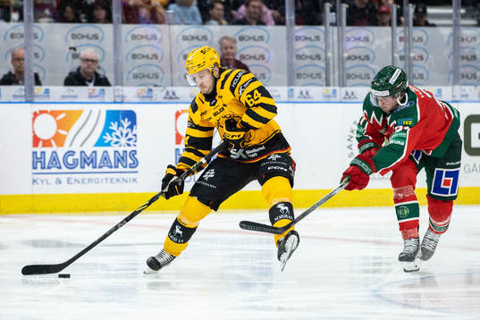 Skellefteås Jonathan Pudas och Frölundas Loui Eriksson