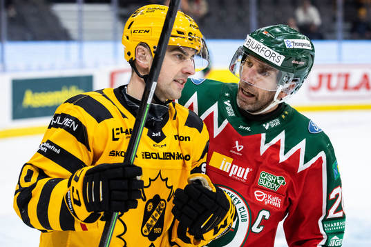 Skellefteås Joakim Lindström i diskussion med Frölundas