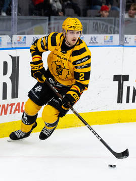 Skellefteås Linus Högberg